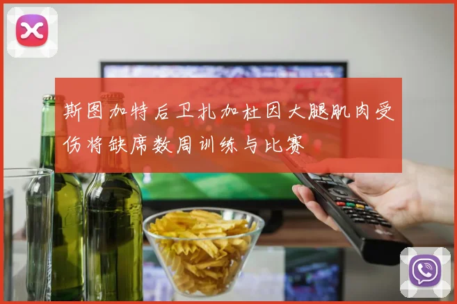 斯图加特后卫扎加杜因大腿肌肉受伤将缺席数周训练与比赛